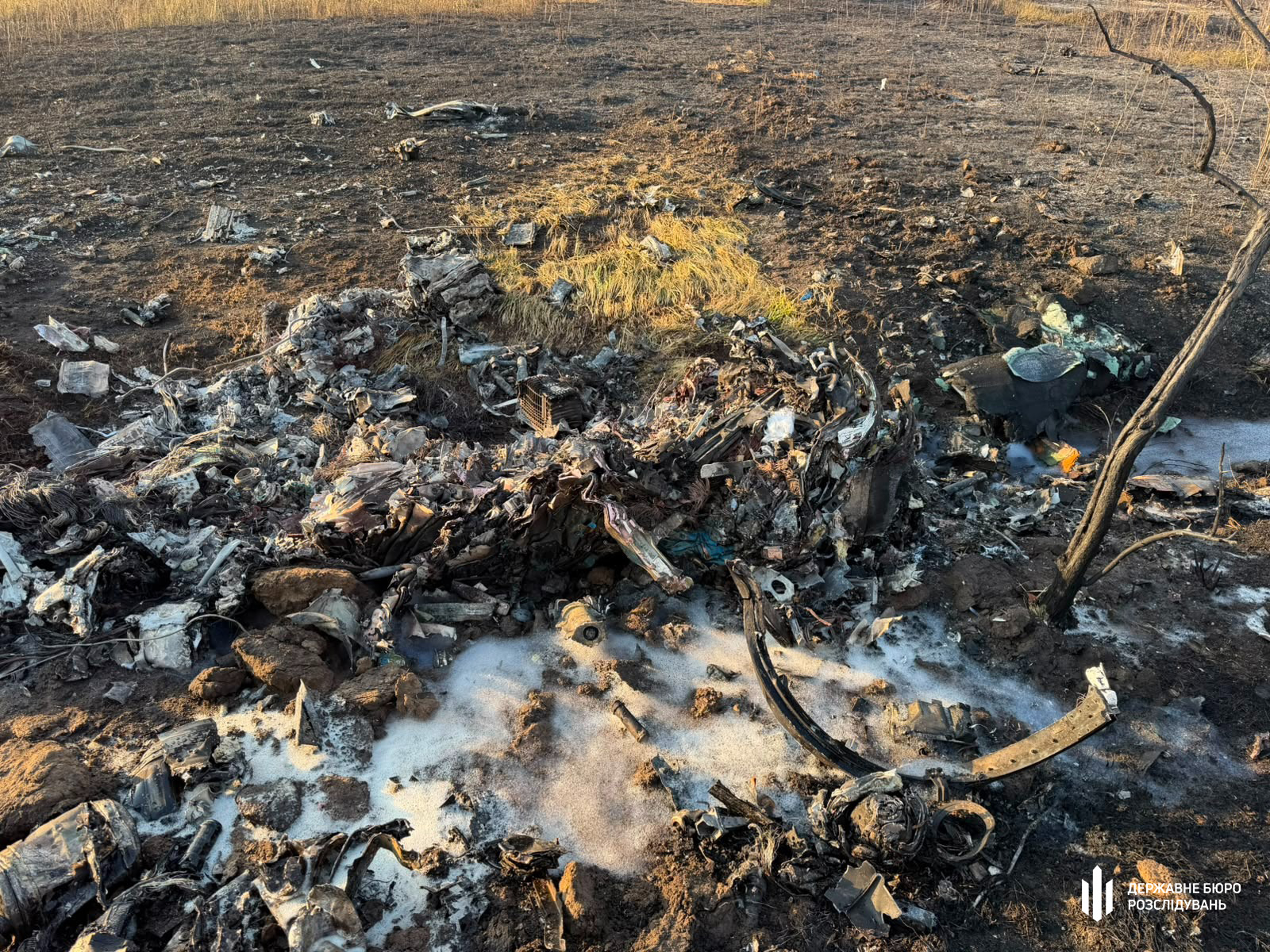 ДБР почало розслідування через падіння МіГ-29 на Одещині фото 1