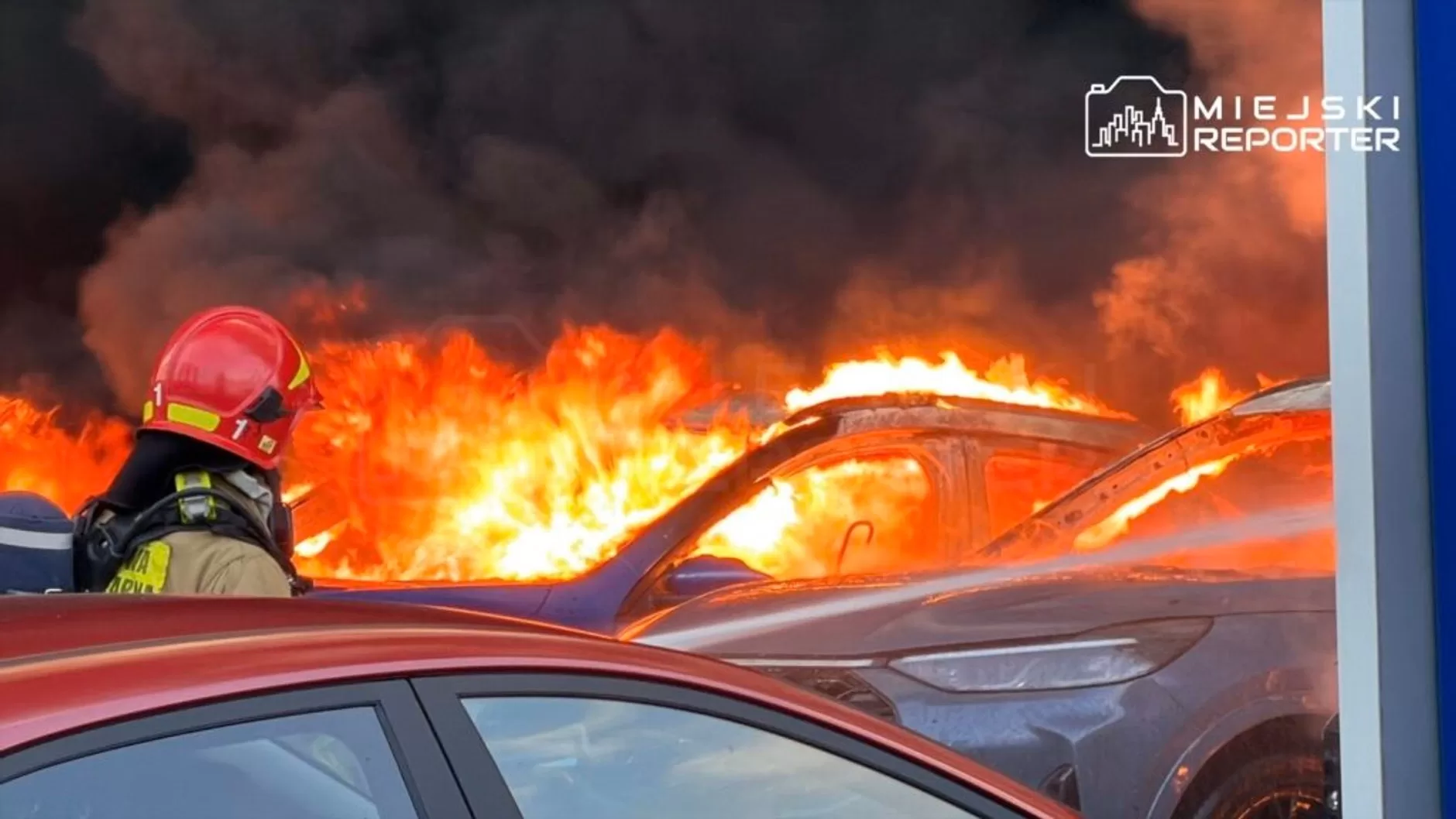У Варшаві спалахнув автосалон Ford: вогонь охопив десятки авто (фото) фото 2