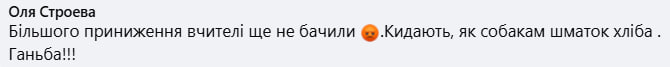 Під дописом МОН про виплату «вчительської тисячі» зібралось десятки гнівних коментарів фото 6