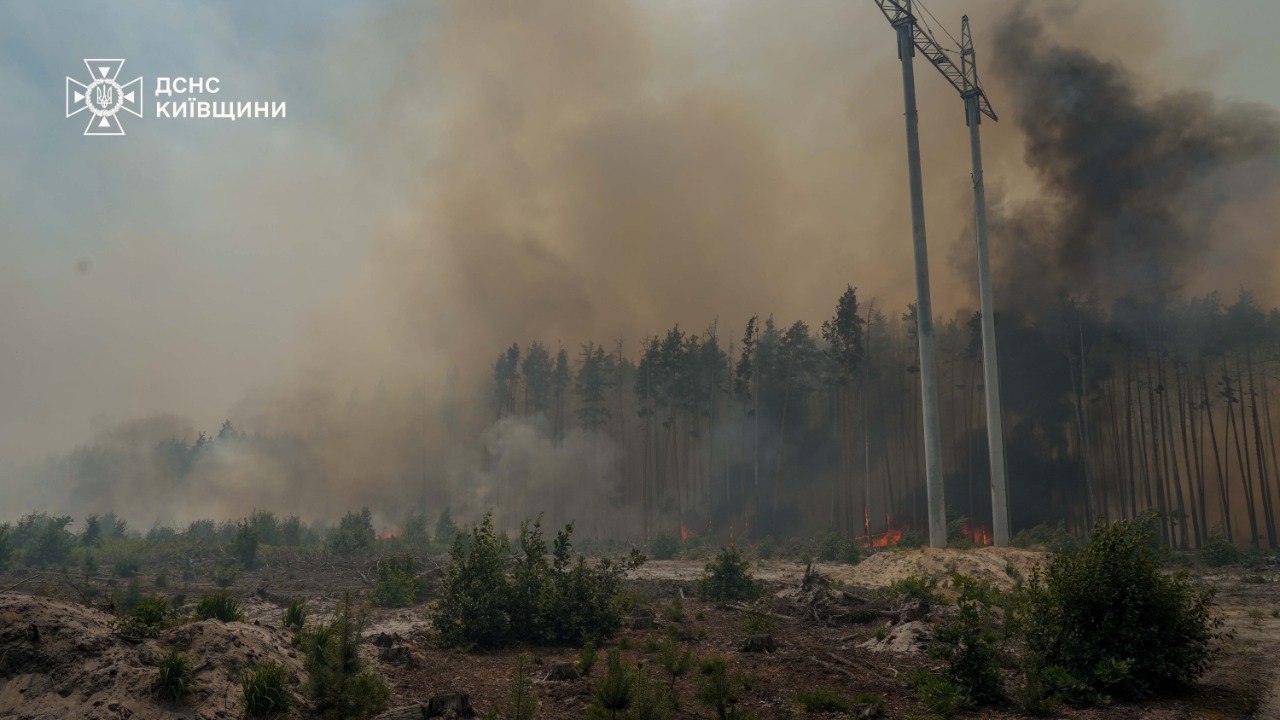 Рятувальники ліквідували масштабну пожежу в Чорнобильській зоні (фото, відео) фото 2