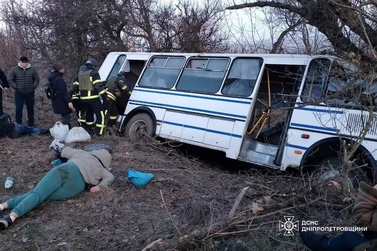 Автобус зіткнувся з деревом