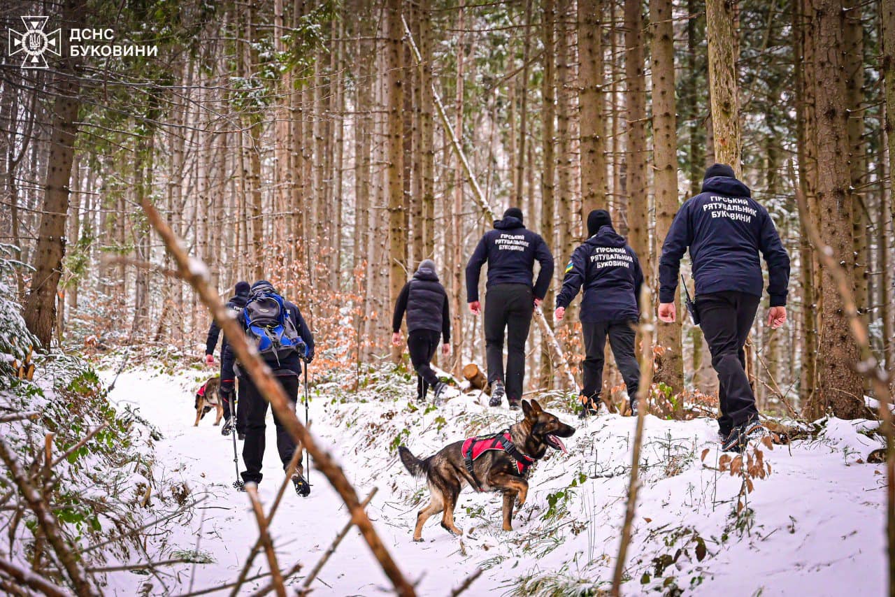 Карпати ще ближче: Буковина відкрила новий маршрут для туристів фото 3