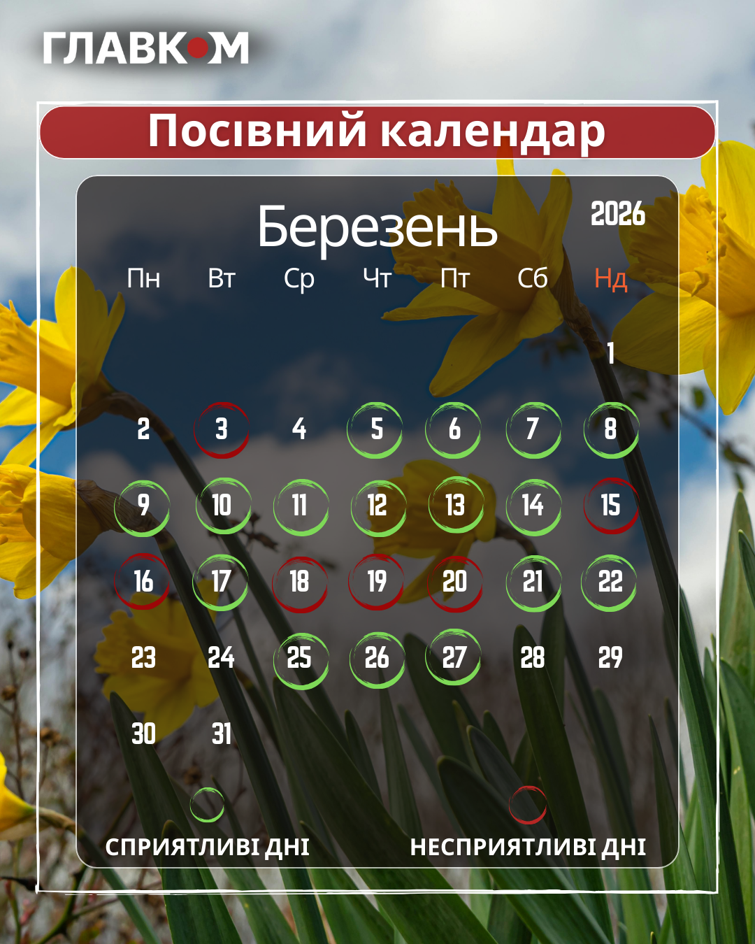 Посівний календар на березень 2026: гаряча пора на підвіконнях та перші кроки в саду фото 1