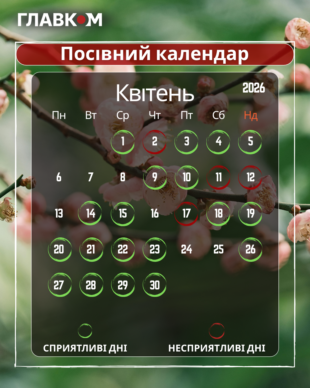 Посівний календар на квітень 2026: час великої висадки та пробудження відкритого ґрунту фото 1
