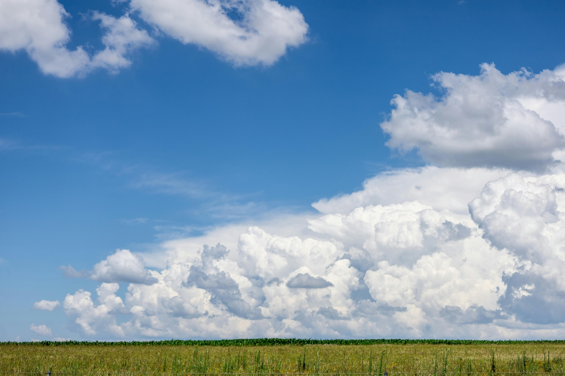 23 березня: яке сьогодні свято, традиції та заборони фото 1