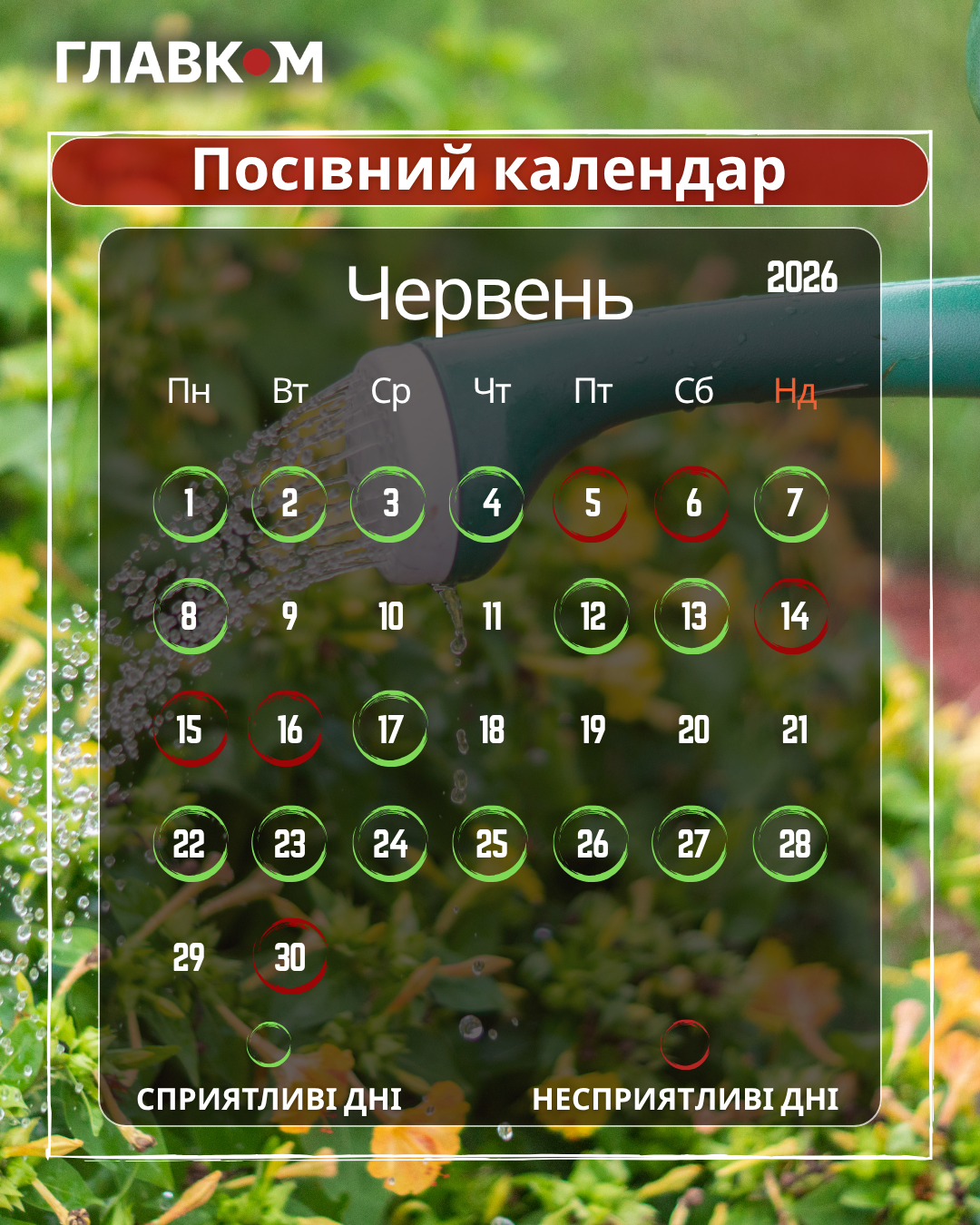 Посівний календар на червень 2026: час активного догляду, повторних посівів та боротьби за майбутній врожай фото 1