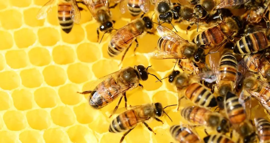 16 серпня: яке сьогодні свято, традиції та заборони фото 3