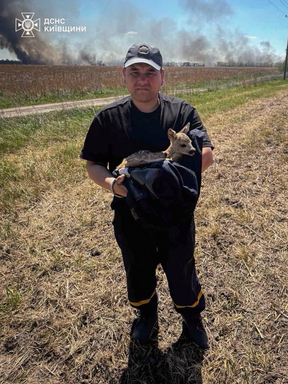 Рятувальники Київщини винесли з вогню двох маленьких оленят (фото) фото 2