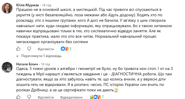 Репетиторка 180 дітей описала дикий хаос у школах під час тривог фото 5