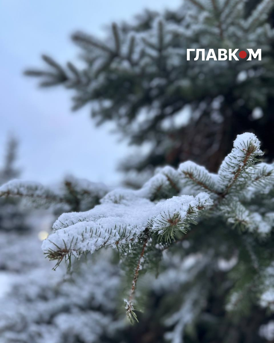 Циклон із північного напрямку визначатиме погоду напередодні Нового року