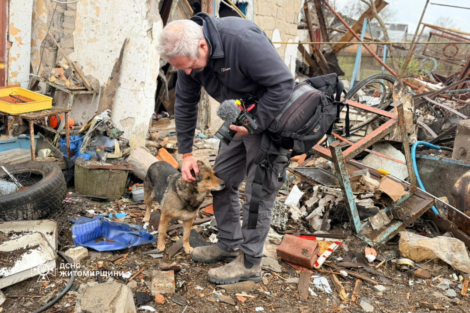 ДСНС розчулила українців кадрами із собакою, який «плаче» посеред руїн свого будинку (відео)