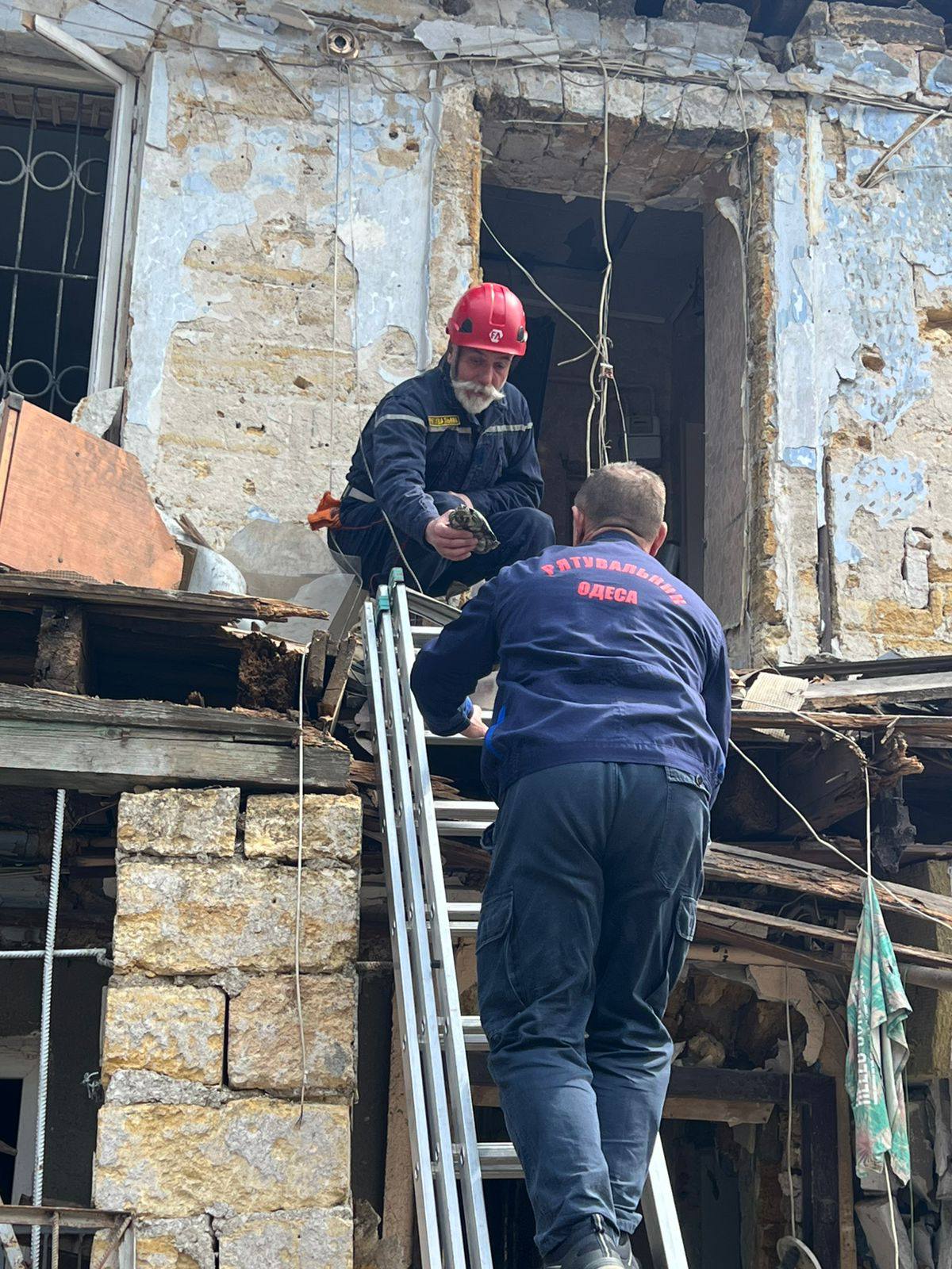 Рятувальники дістали з-під завалів живу черепаху