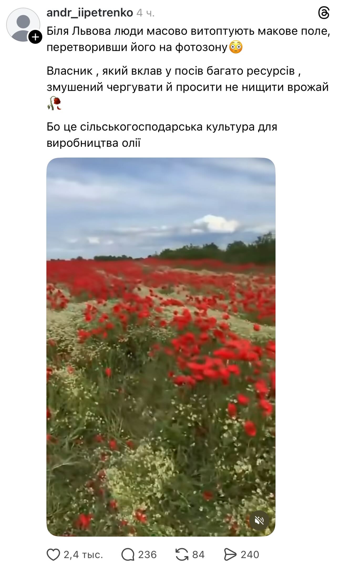 Христина Соловій обурила українців фотосесією у маковому полі фото 4