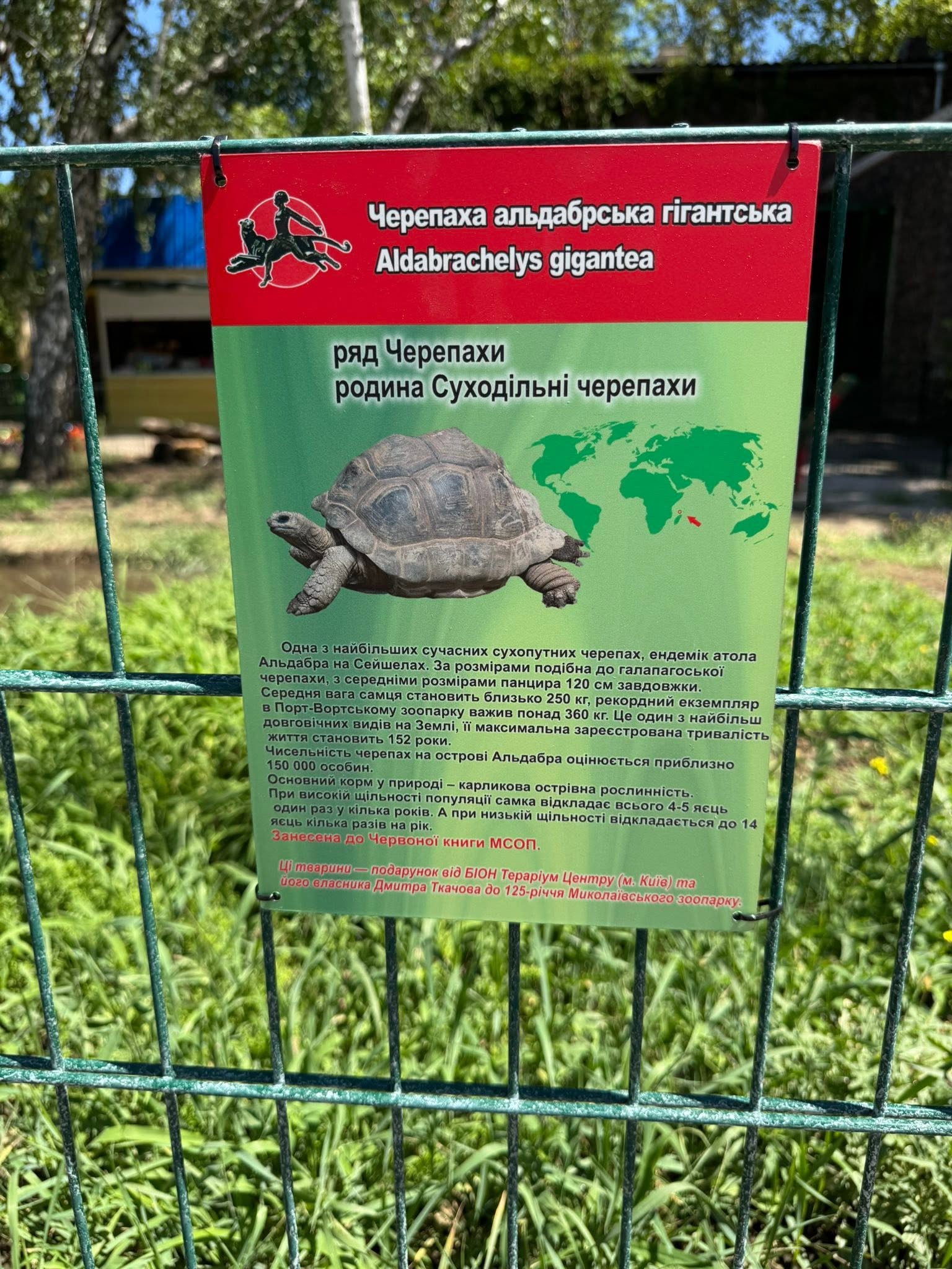 У Миколаївському зоопарку з’явилися унікальні гігантські черепахи (фото) фото 2