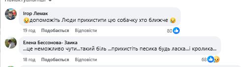 ДСНС розчулила українців кадрами із собакою