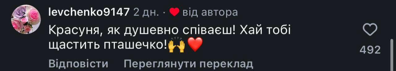 Шестирічна дівчинка розчулила українців піснею під час атаки на Київ (відео) фото 3