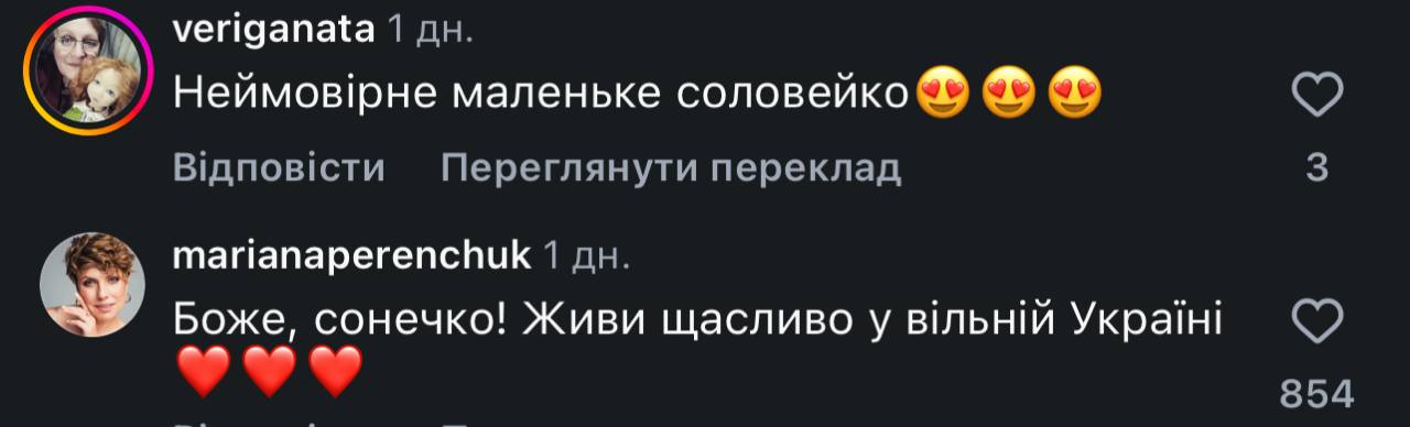 Шестирічна дівчинка розчулила українців піснею під час атаки на Київ (відео) фото 4