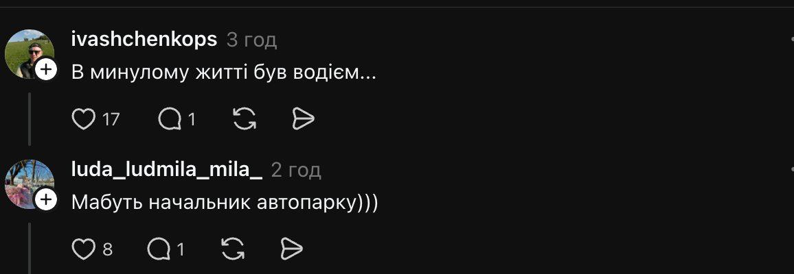 «У минулому житті був водієм». Потавський пес-мандрівник щодня їздить на автобусі (відео) фото 4