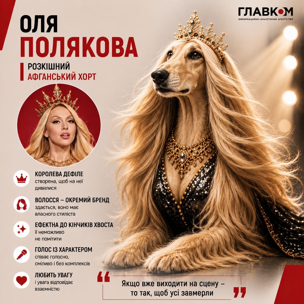 Оля Полякова – розкішний афганський хорт
