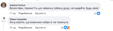 ДСНС розчулила українців кадрами із собакою, який «плаче» посеред руїн свого будинку (відео) фото 2