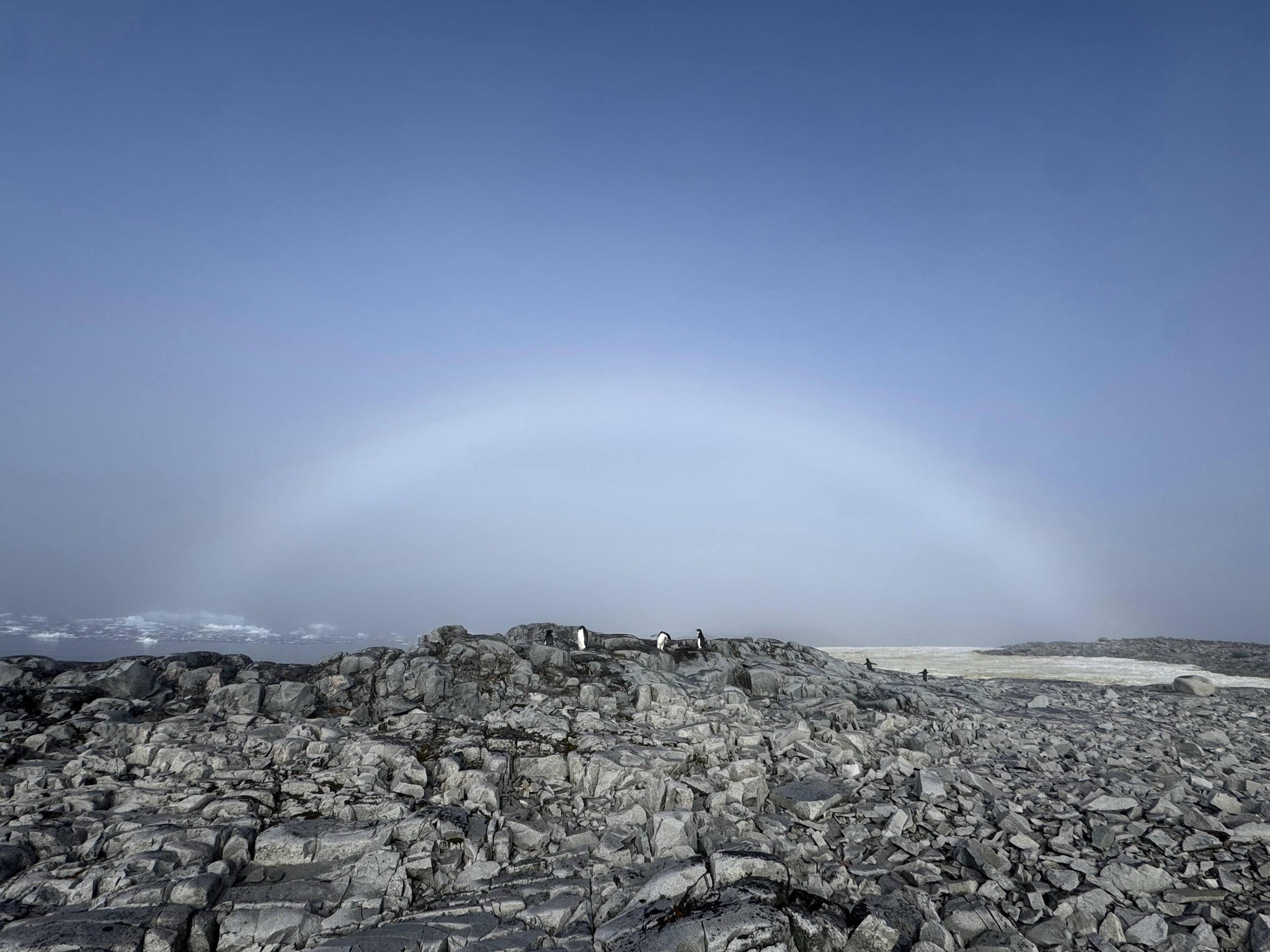 Українські полярники показали рідкісну білу веселку в Антарктиці фото 2