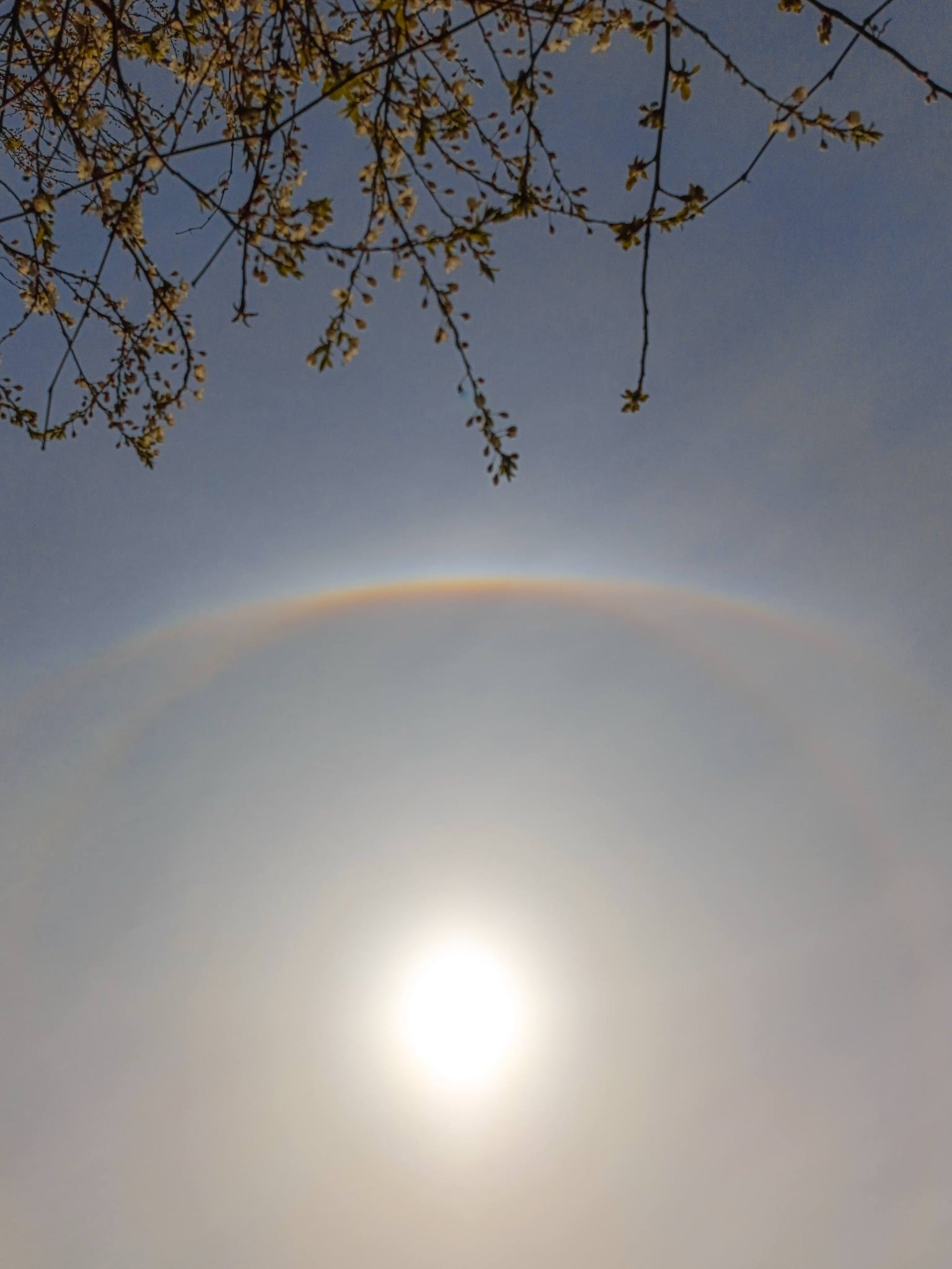 На Волині зафіксовано рідкісне погодне явище