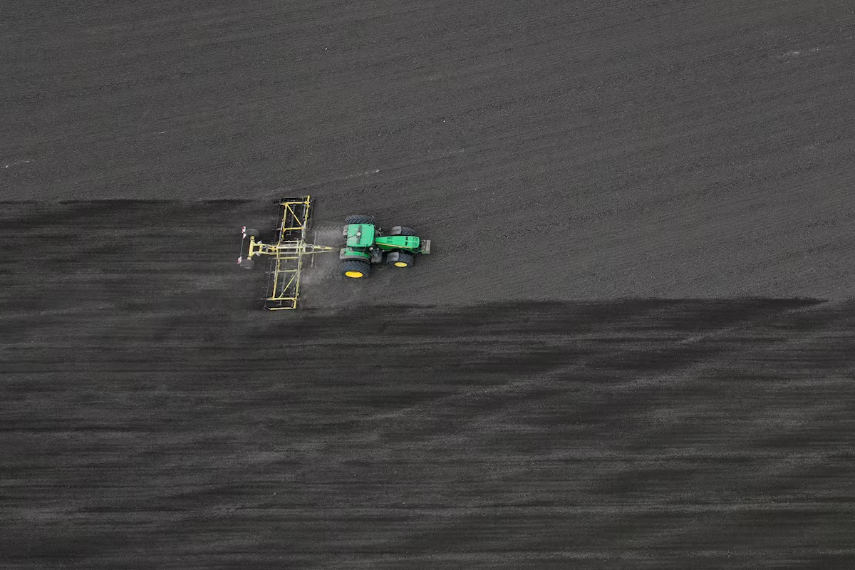 Експерти попередили про скорочення посівів і ризик падіння експорту фото 2