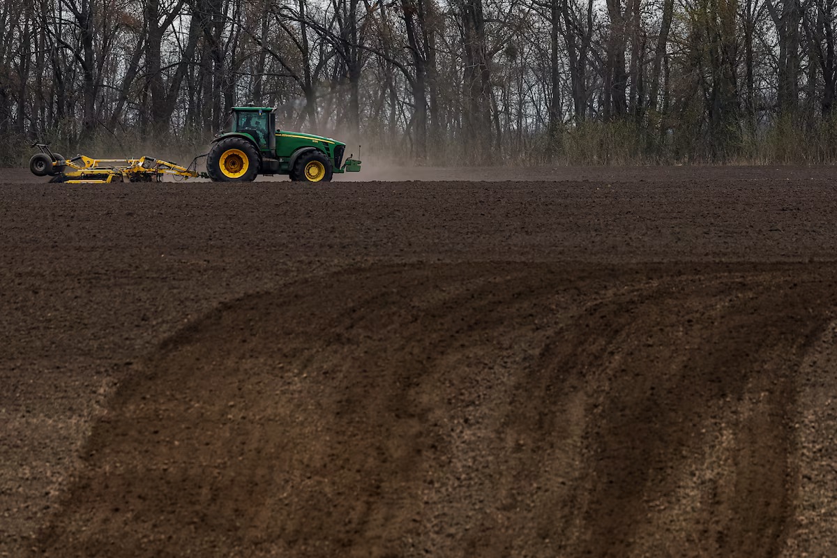 Експерти попередили про скорочення посівів і ризик падіння експорту фото 1