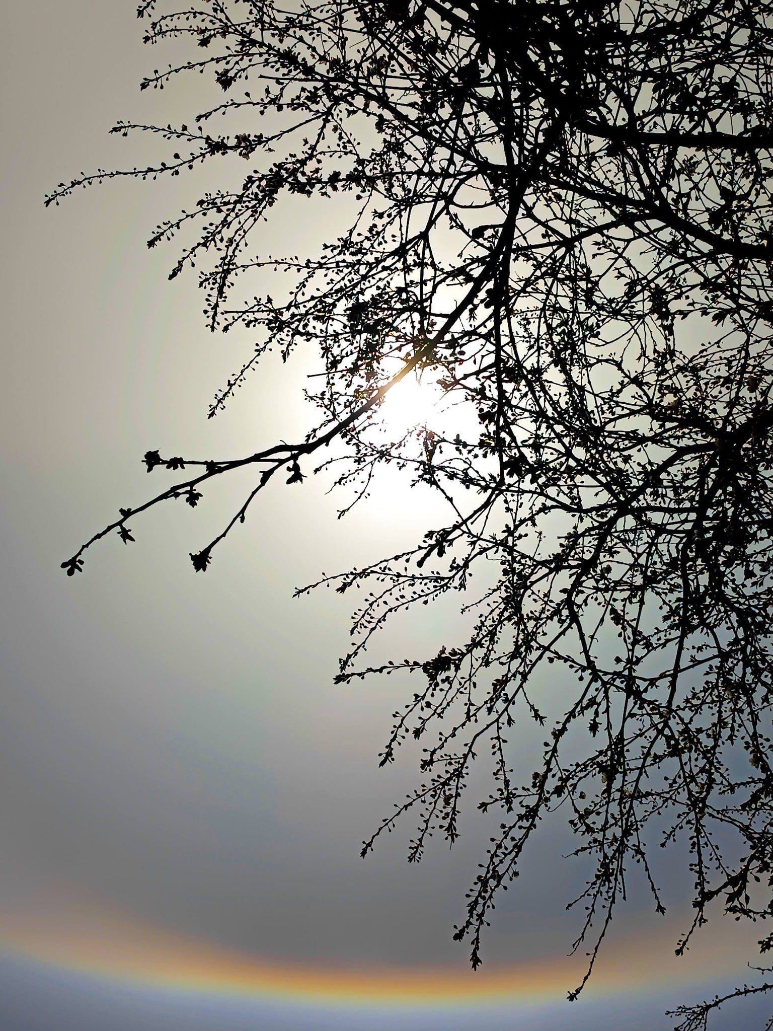 На Волині зафіксовано рідкісне погодне явище фото 4