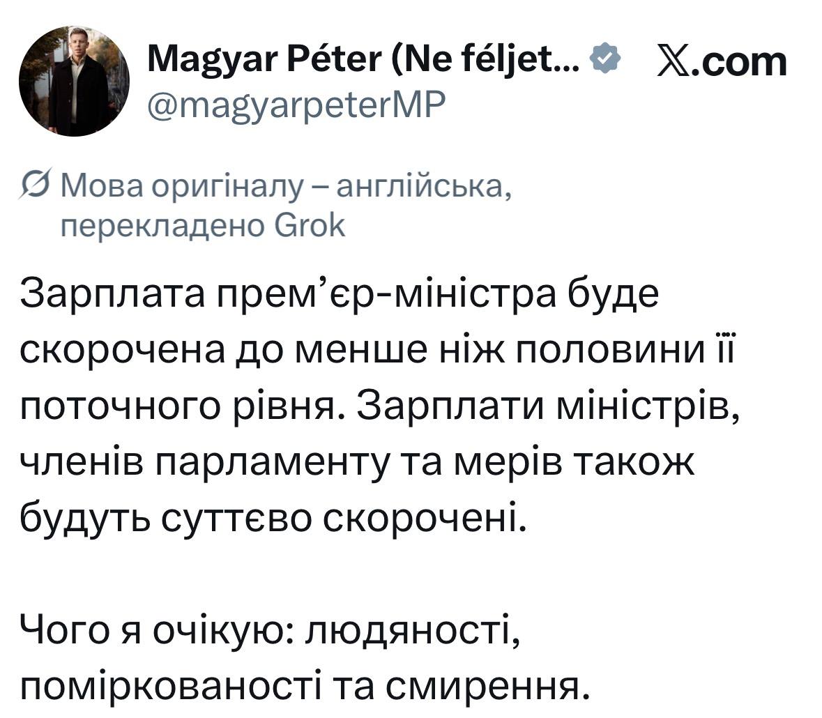 Мадяр отримуватиме вдвічі менше за Орбана і скоротить зарплати владі фото 1