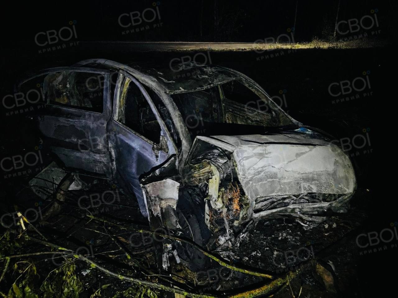 В Кривому Розі автівка на швидкості врізалася в дерево та миттєво спалахнула