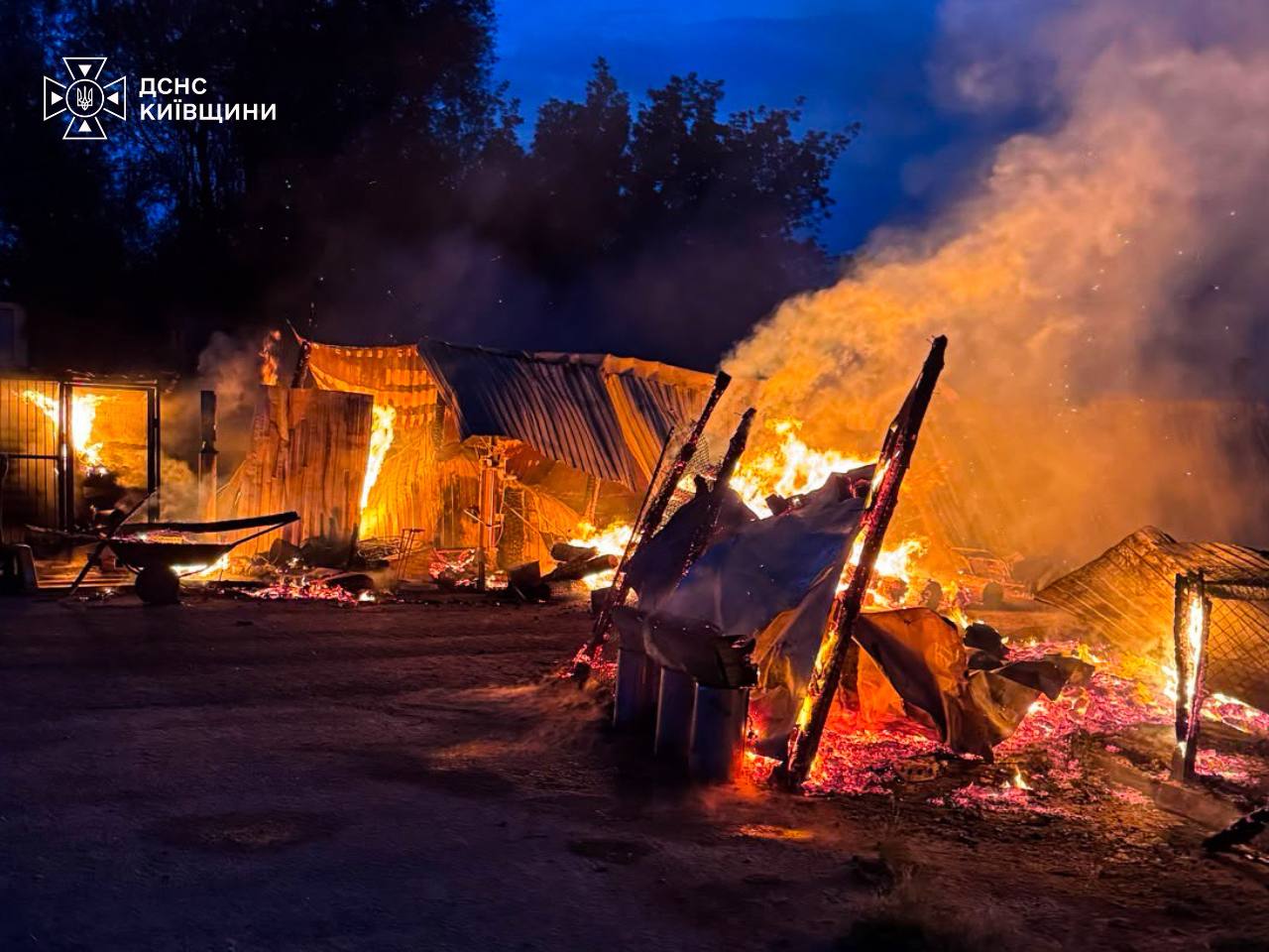 Вогонь знищив 20 вольєрів у притулку