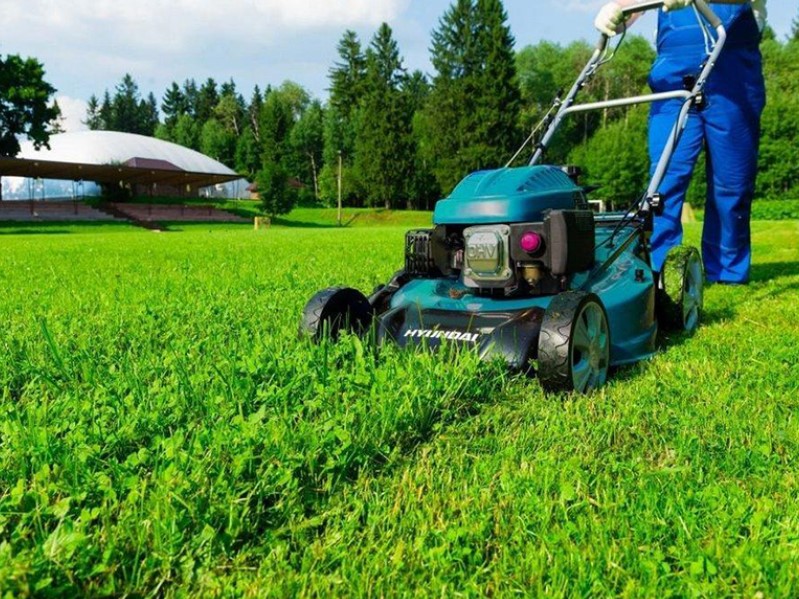 Весняний сезон: який садовий інструмент найкращий у 2025 році? фото 2