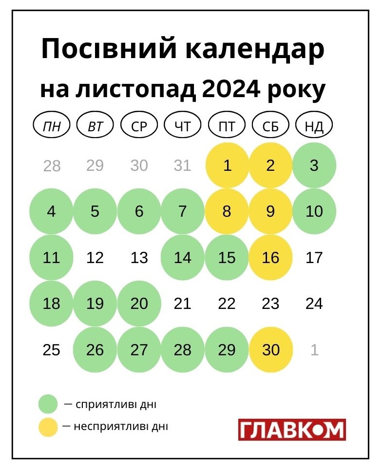 Посівний календар на листопад 2024