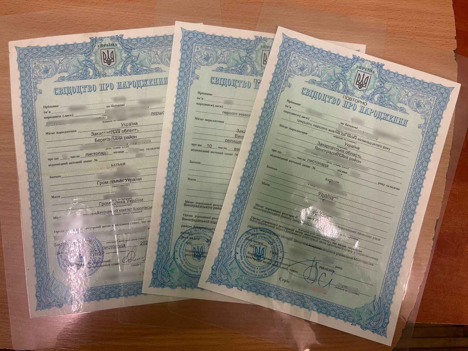 Molodyk a fourni trois certificats de naissance pour les enfants pour vérification