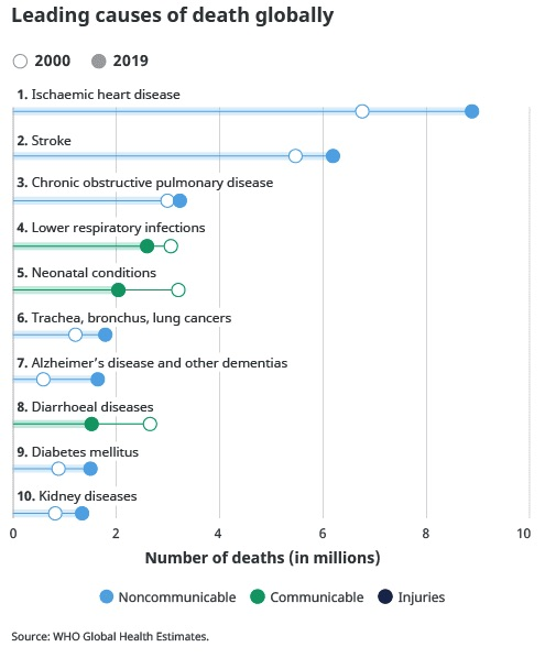 Основные причины смерти людей в мире в 2000-2019 годах (Инфографика ВОЗ)