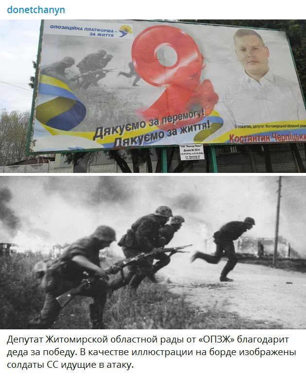 Плакаты с бойцами вермахта разместила ОПЗЖ в Житомире