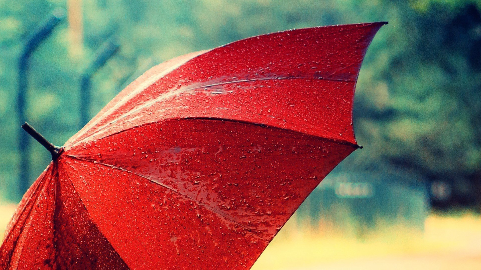 Красный зонтик является символом противодействия дискриминации секс-работников/Фото из открытых источников