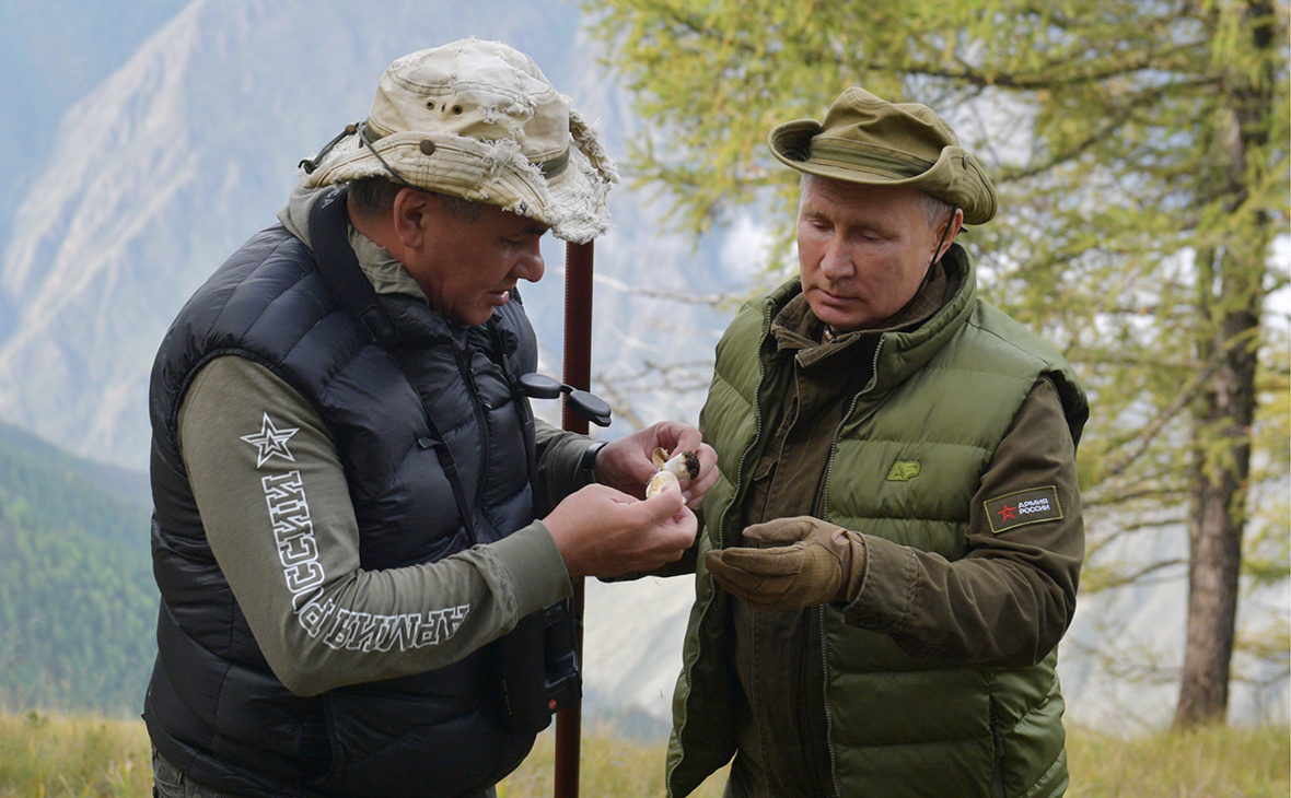 Путин и Шойгу собирают грибы в Тайге