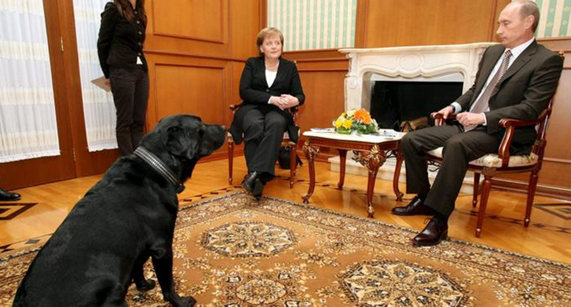 Путин хотел доминировать над Меркель во время встречи, сыграв на том, что она боится собак/Фото: picture-alliance.com