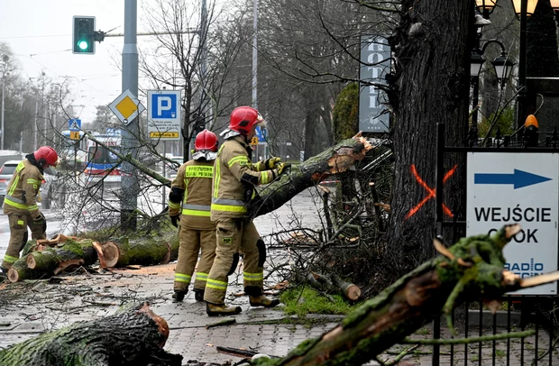 У Польщі рятувальники здійснили вже понад 3000 виїздів, щоб усувати завдані вітром збитки/фото: Marcin Bielecki/PAP