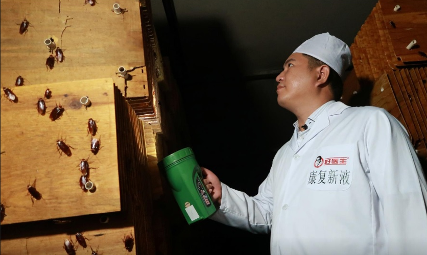 У Китаї відкрили вже кілька заводів з утилізації відходів за допомогою тарганів (фото: reuters)