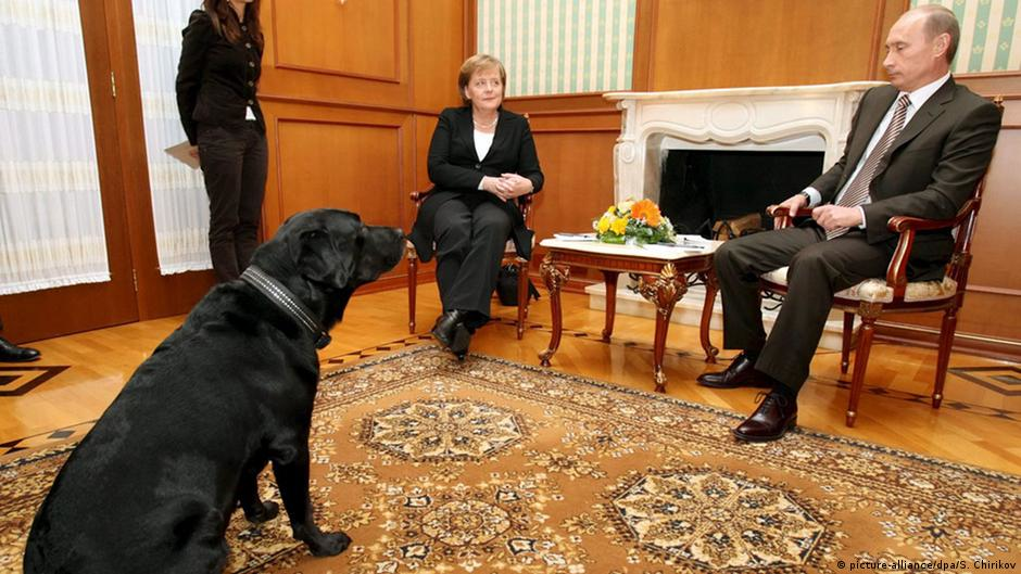 Путін добре знає, що Меркель боїться собак Фото: Deutsche Welle