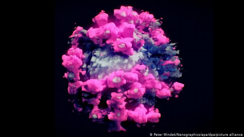 3D-фото справжнього коронавірусу SARS-CoV-2, отриманого з миттєво замороженої проби. Його зробила віденська фірма Nanographics