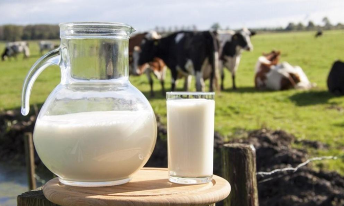  Виробники вже погрожують, що зниження ПДВ на молоко обернеться здорожчанням продукції, яка виробляється з нього (agro-yug.com.ua)