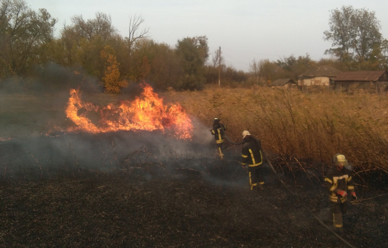 Вогонь на Луганщині охопив близько 10 тис. гектарів  (Фото: ДСНС у Луганській області)