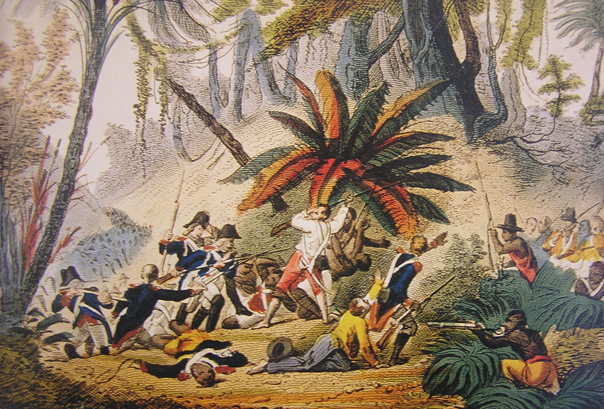Епідемія жовтої гарячки допомогла державі Гаїті отримати незалежність. Комарі перемогли військо Наполеона