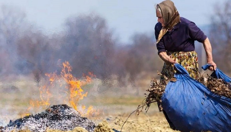 Українці мають пам’ятати: закон забороняє спалювати листя або суху траву (фото: report.if.ua)