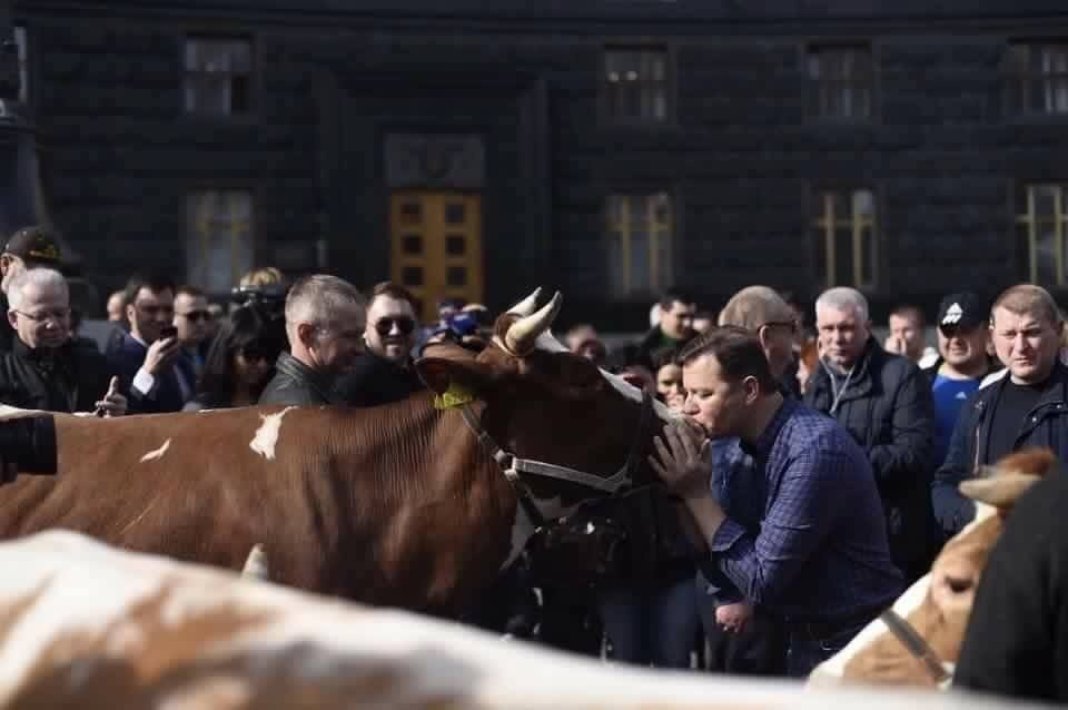Ляшко цілує корову (фото:segodnya.ua)