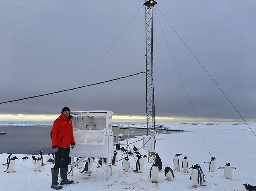 Метеоролог Ігор Артеменко в оточенні всюдисущих пінгвінів